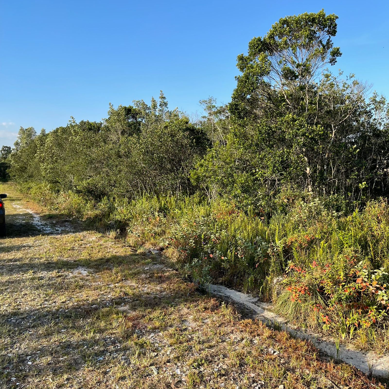 Terreno à venda, 125m2 - Foto 8