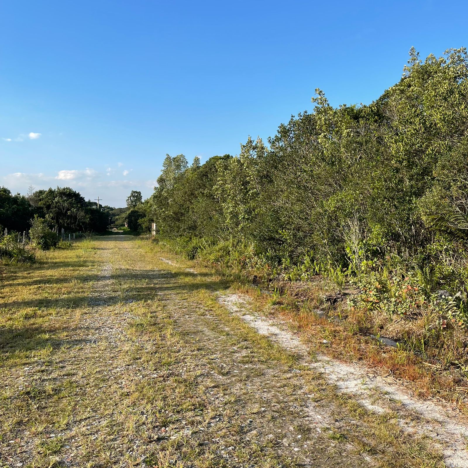 Terreno à venda, 125m2 - Foto 4