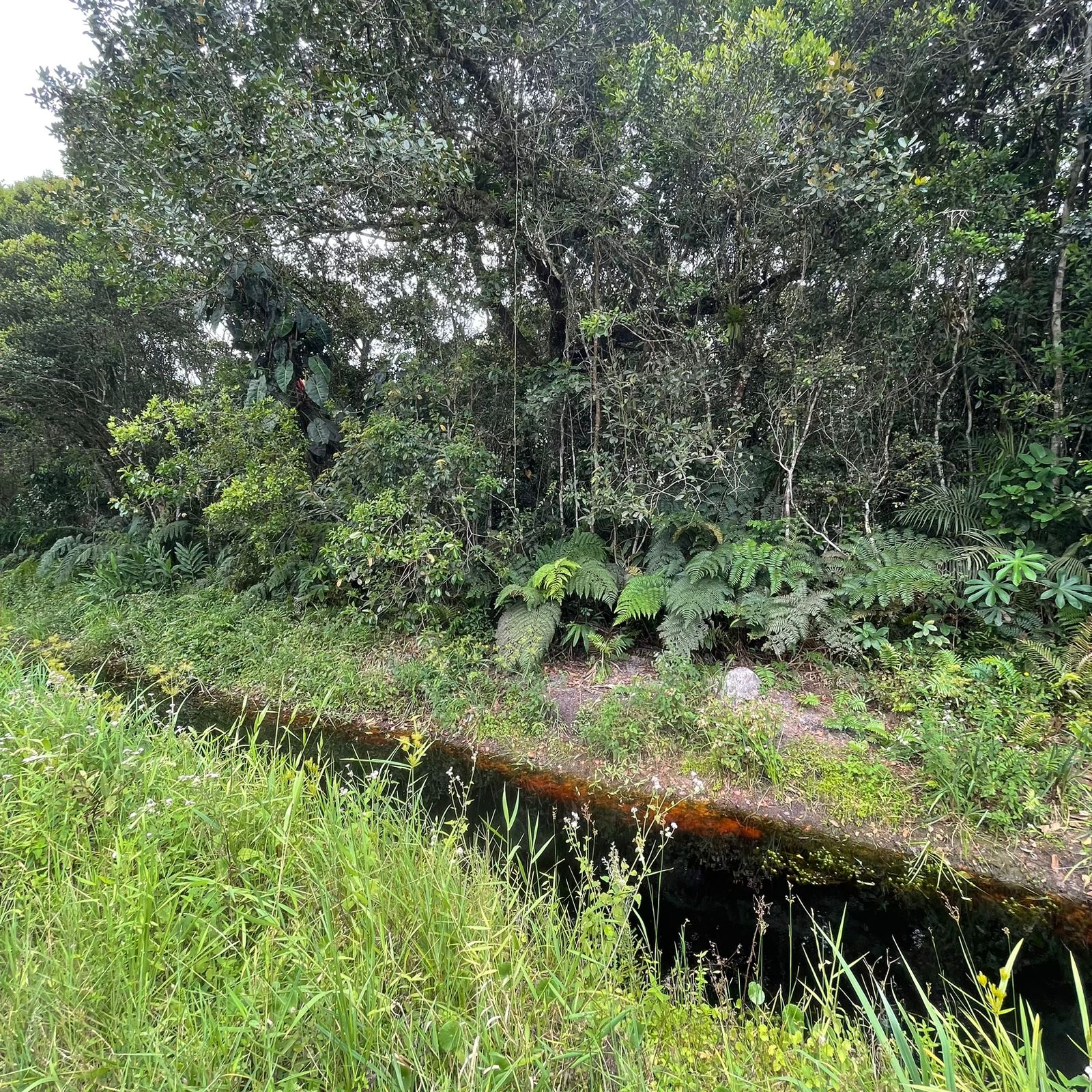 Terreno à venda, 363m2 - Foto 4