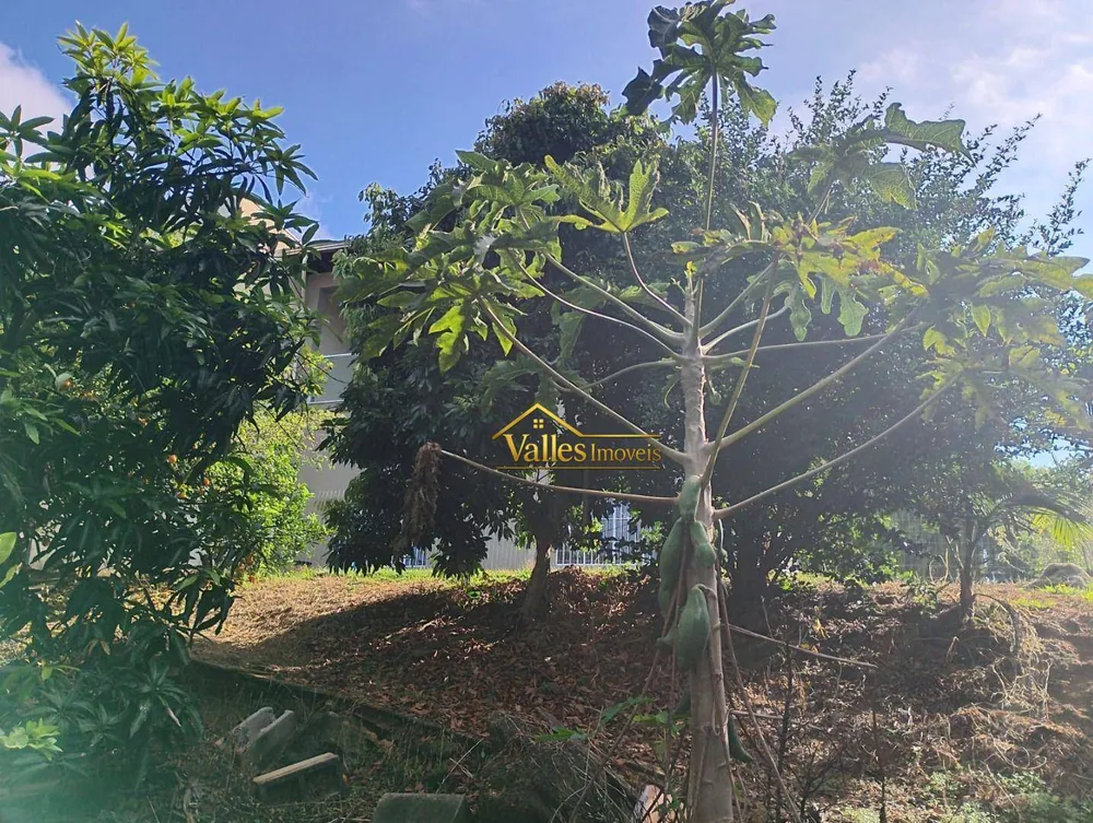 Chácara, 3 quartos, 700 m² - Foto 6