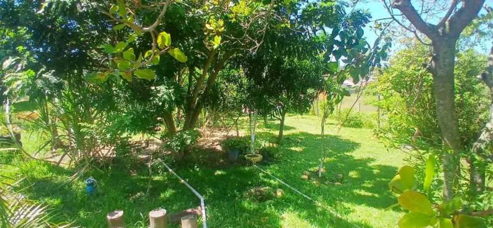 Casa, 2 quartos, 520 m² - Foto 20