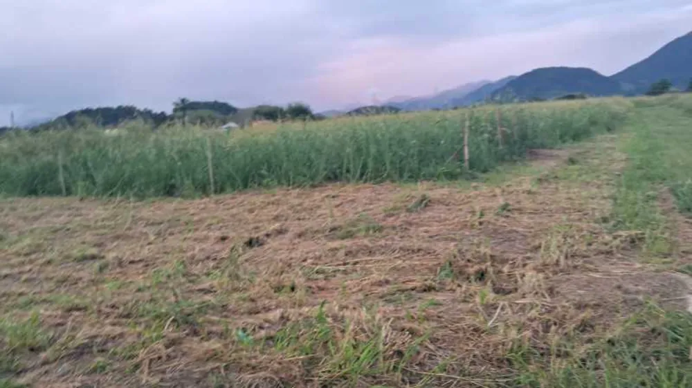 Terreno, 200 m² - Foto 8