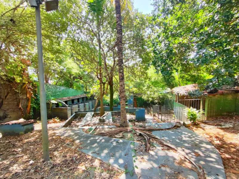 Casa, 4 quartos, 350 m² - Foto 30