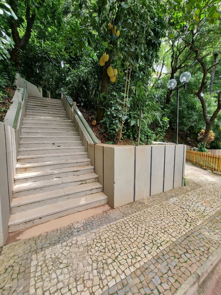 Apartamento, 3 quartos, 217 m² - Foto 44