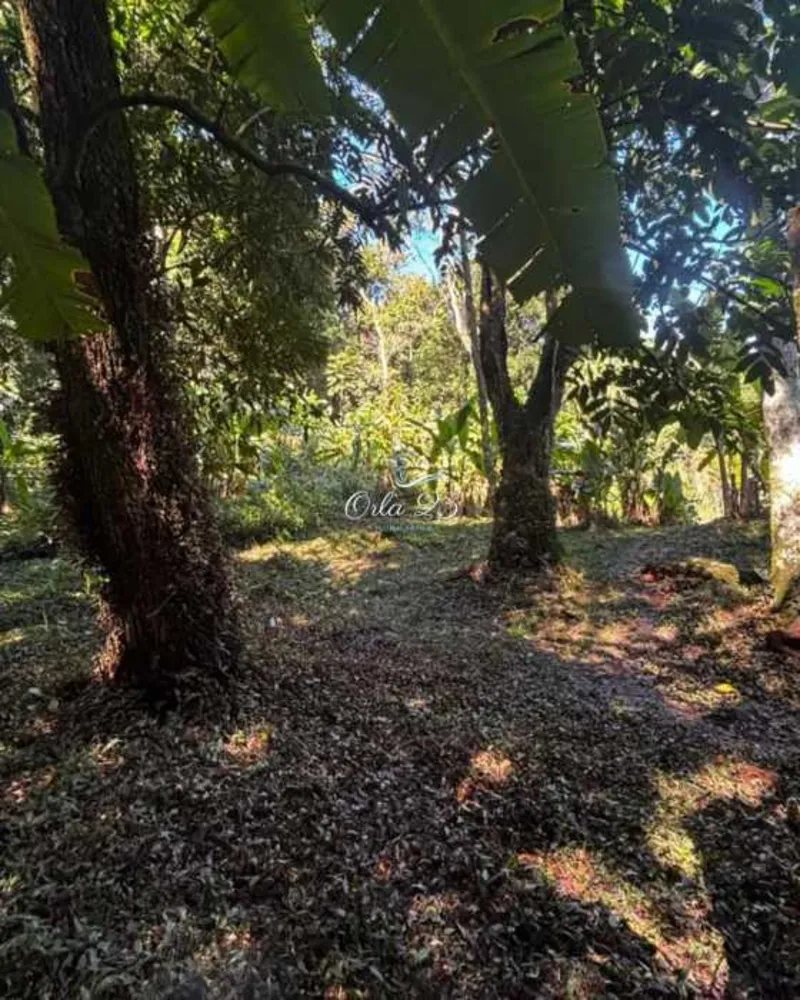 Terreno - Foto 2