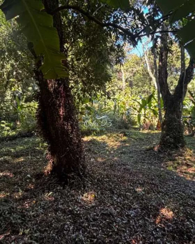 Terreno - Foto 4