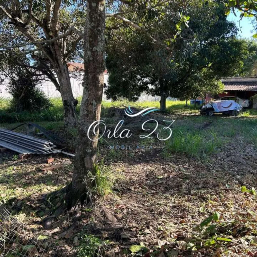 Terreno - Foto 2