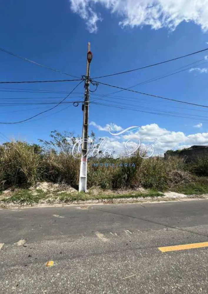 Terreno - Foto 2
