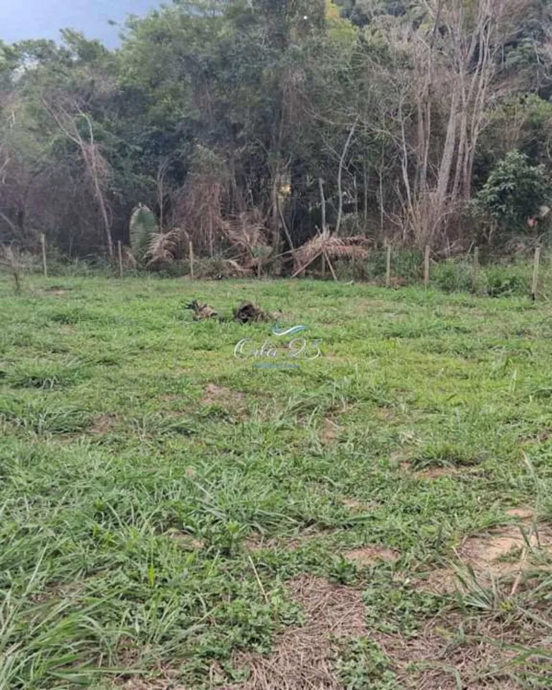 Terreno - Foto 3