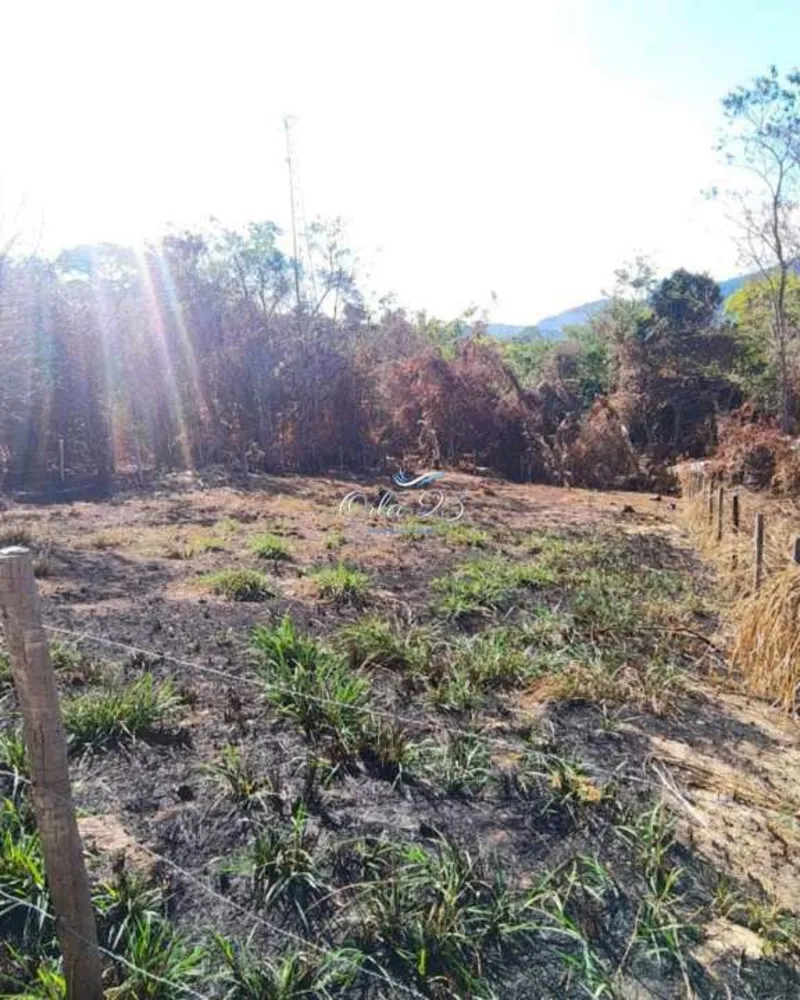 Terreno - Foto 5