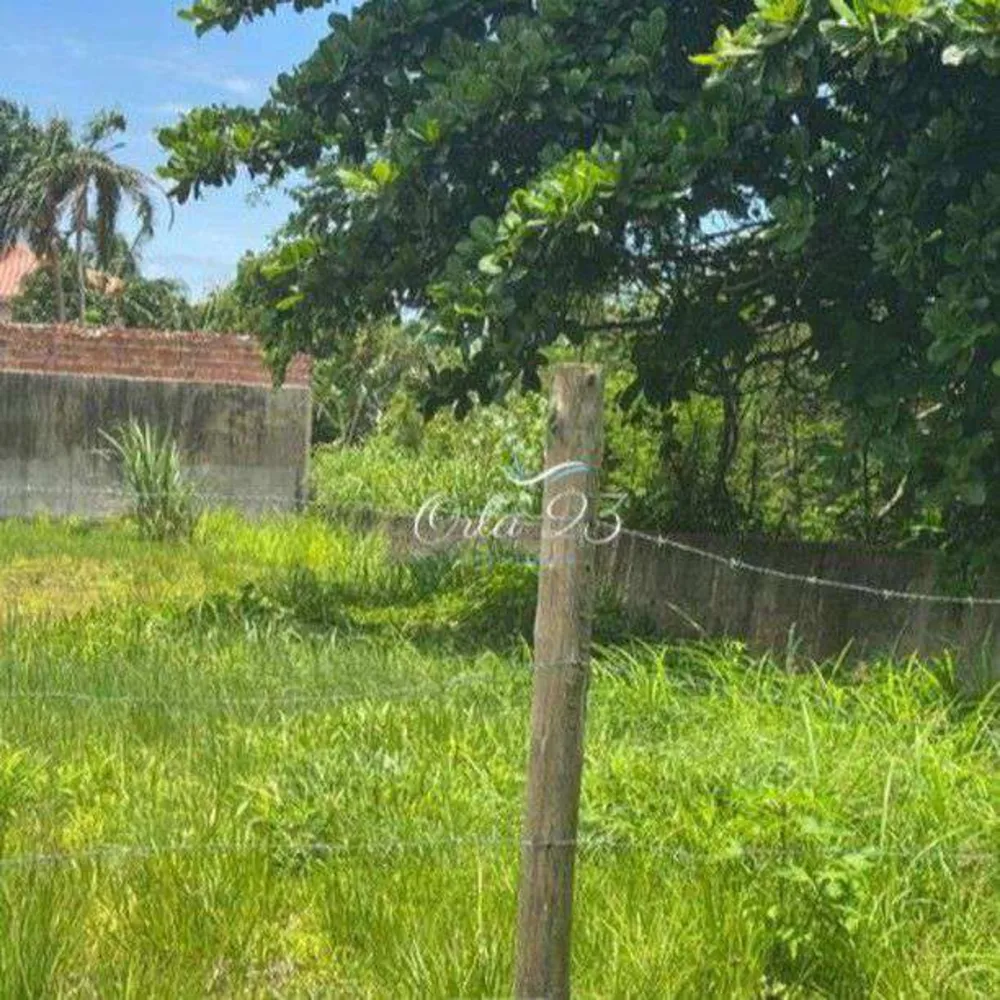 Terreno - Foto 3
