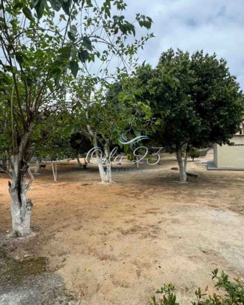 Sítio, 3 quartos, 100 m² - Foto 10