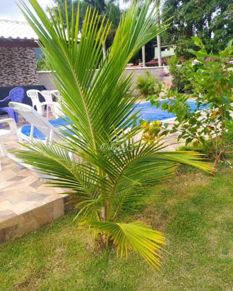 Casa, 2 quartos, 350 m² - Foto 6