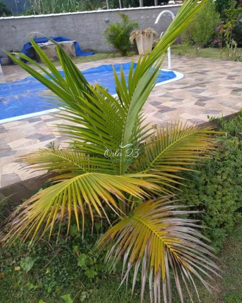 Casa, 2 quartos, 350 m² - Foto 3