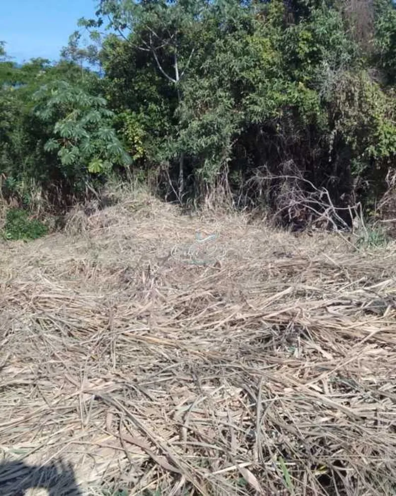 Terreno, 450 m² - Foto 3