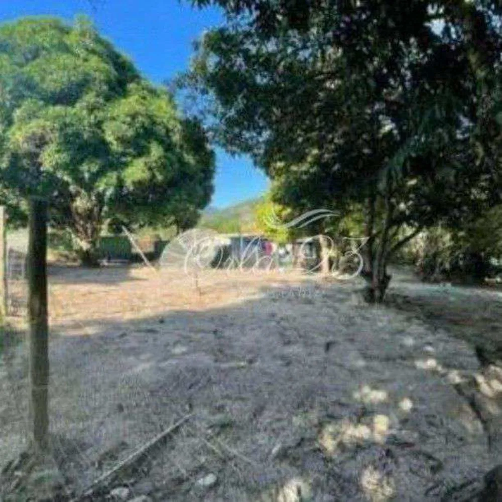 Chácara, 3 quartos, 4950 m² - Foto 4