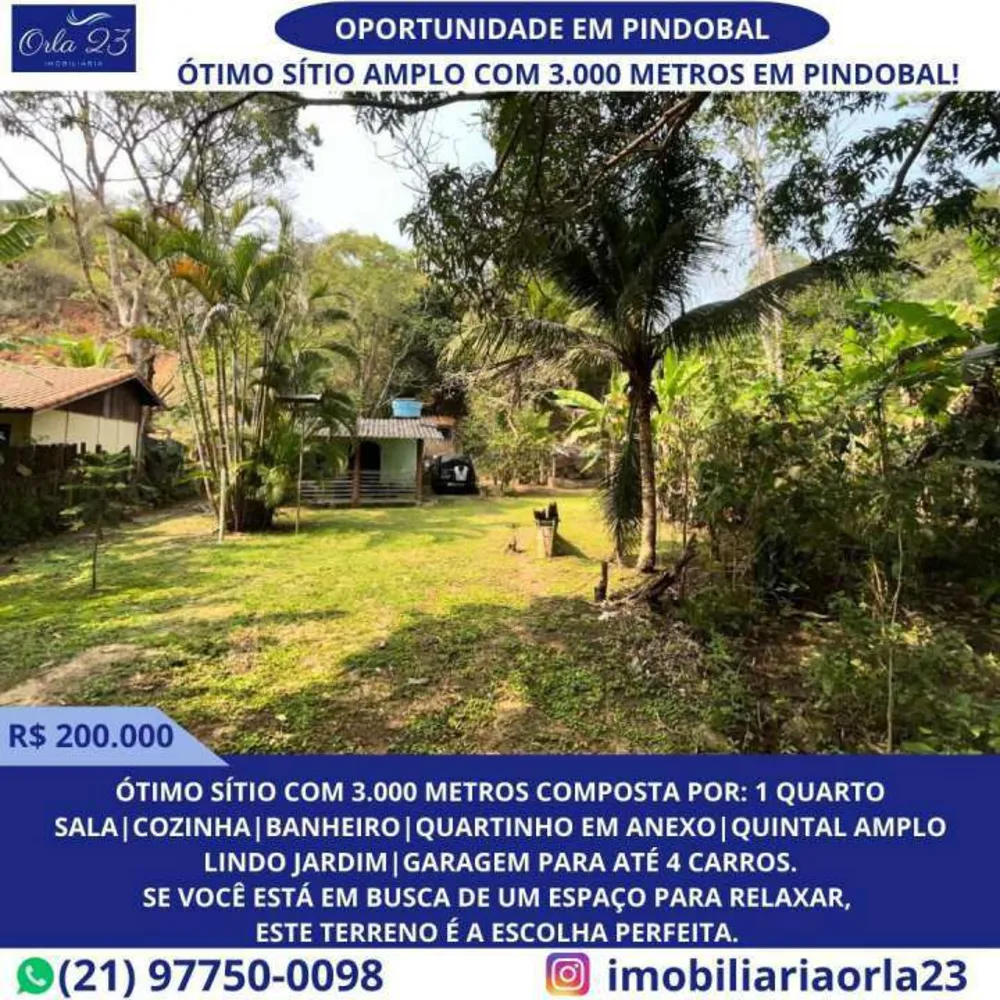 Sítio, 1 quarto, 3000 m² - Foto 1