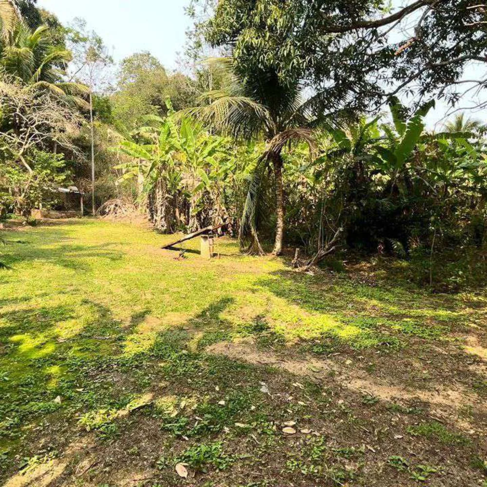 Sítio, 1 quarto, 3000 m² - Foto 2