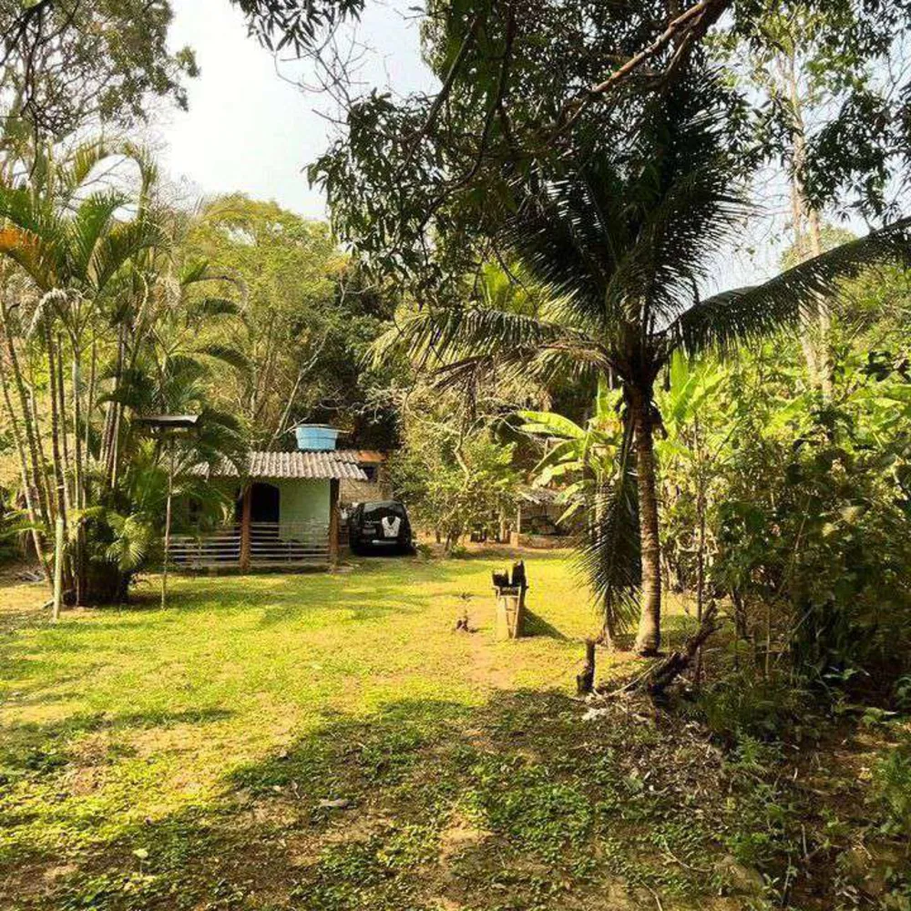 Sítio, 1 quarto, 3000 m² - Foto 4