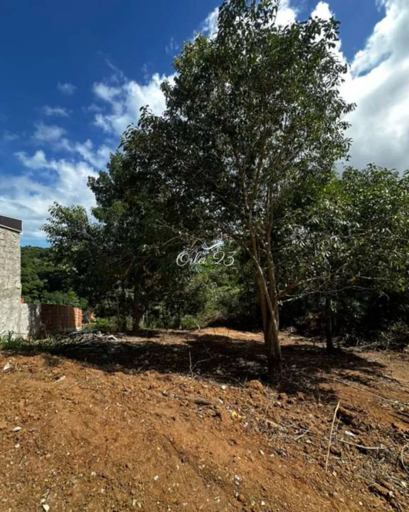 Terreno - Foto 2