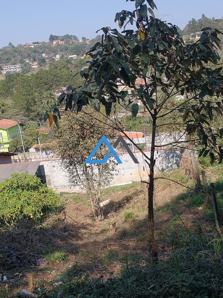 Terreno à venda, 300m² - Foto 4