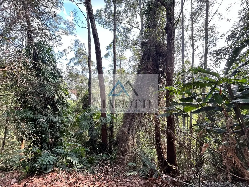Terreno, 295 m² - Foto 7
