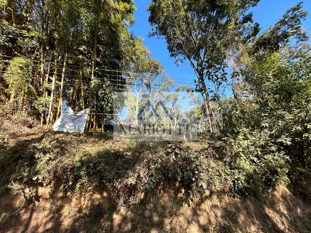 Terreno, 2714 m² - Foto 14