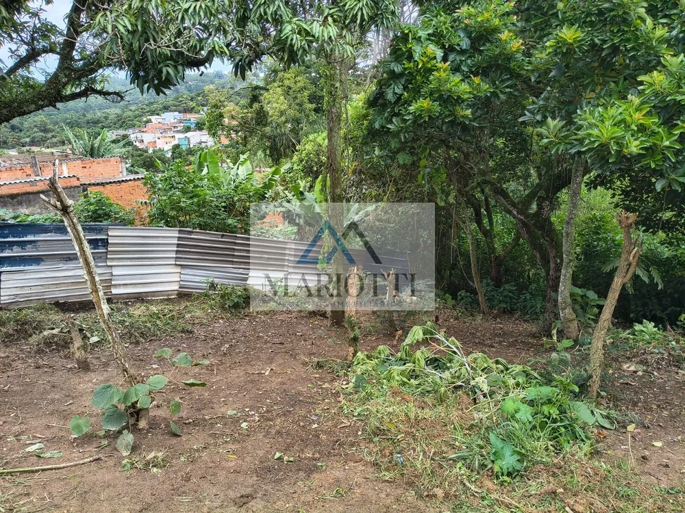 Terreno, 494 m² - Foto 5