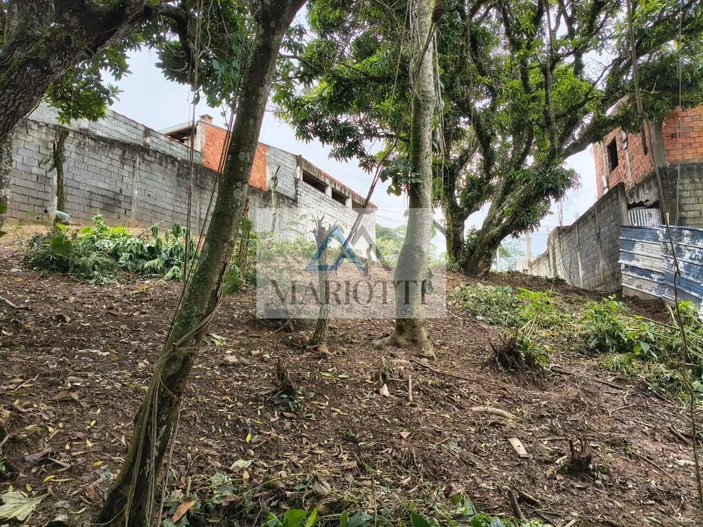 Terreno, 494 m² - Foto 3