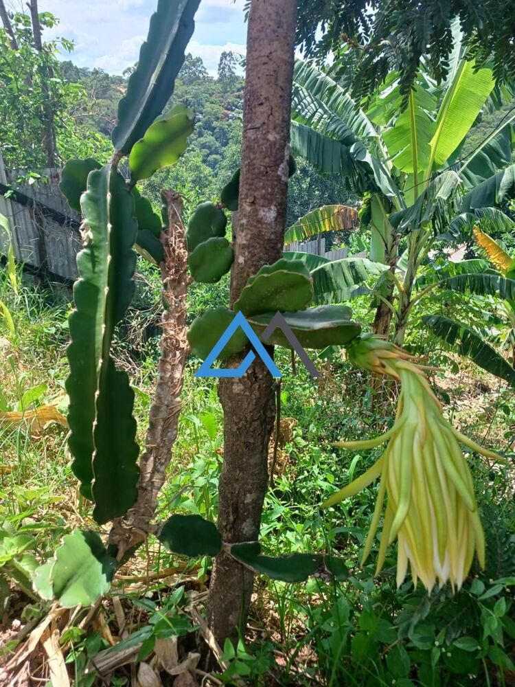 Terreno, 300 m² - Foto 4