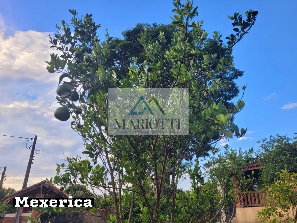 Chácara, 3 quartos, 1000 m² - Foto 4