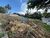 Terreno, 400 m² - Foto 3