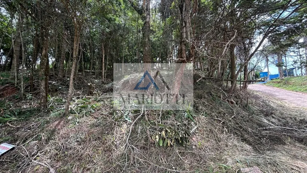Terreno, 1487 m² - Foto 7