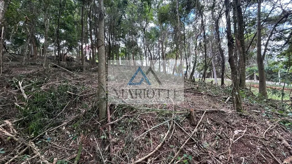 Terreno, 1487 m² - Foto 12