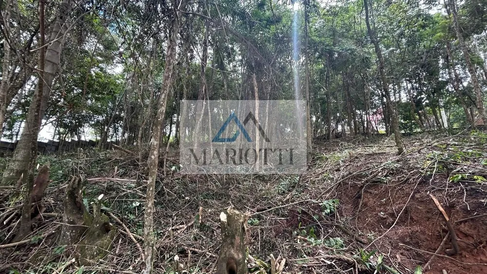 Terreno, 1487 m² - Foto 10