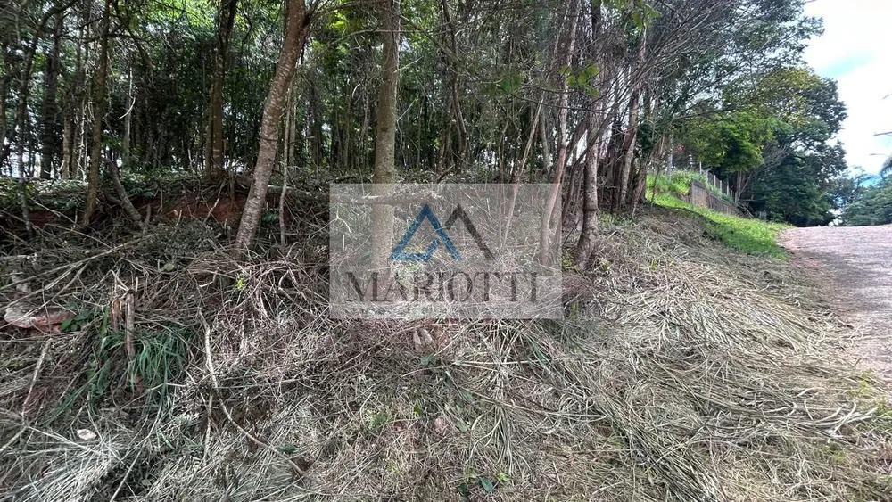 Terreno, 1487 m² - Foto 9