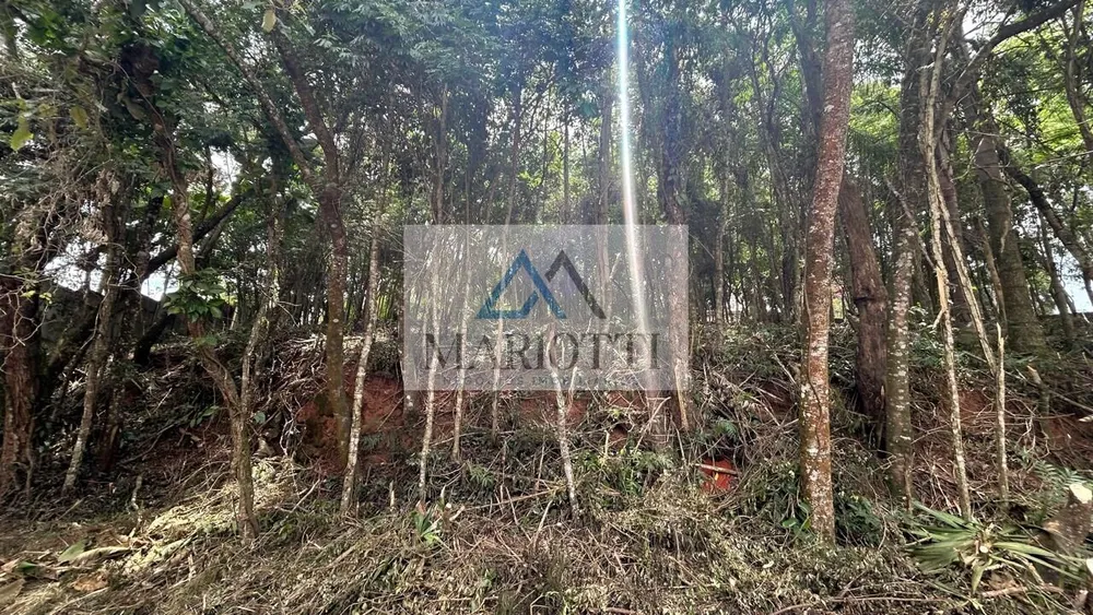 Terreno, 1487 m² - Foto 6