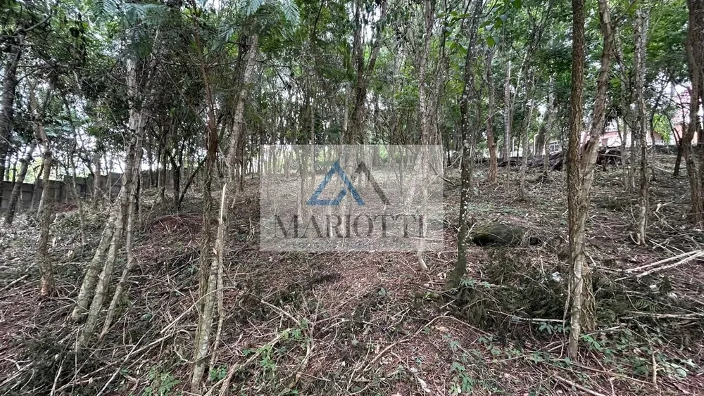 Terreno, 1487 m² - Foto 14