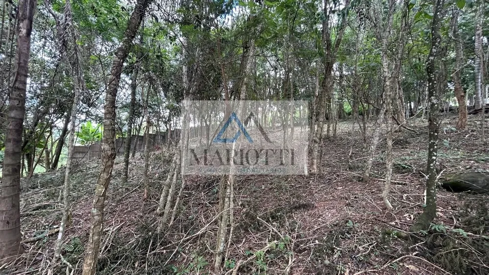 Terreno, 1487 m² - Foto 13