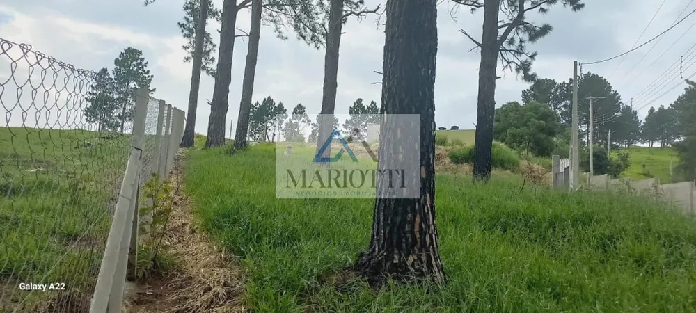 Terreno, 800 m² - Foto 1
