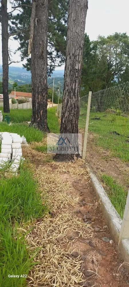 Terreno, 800 m² - Foto 6
