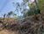 Terreno, 1090 m² - Foto 4