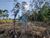 Terreno, 1090 m² - Foto 1