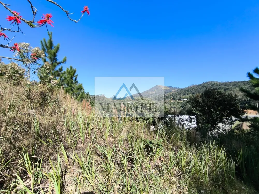 Terreno, 830 m² - Foto 11