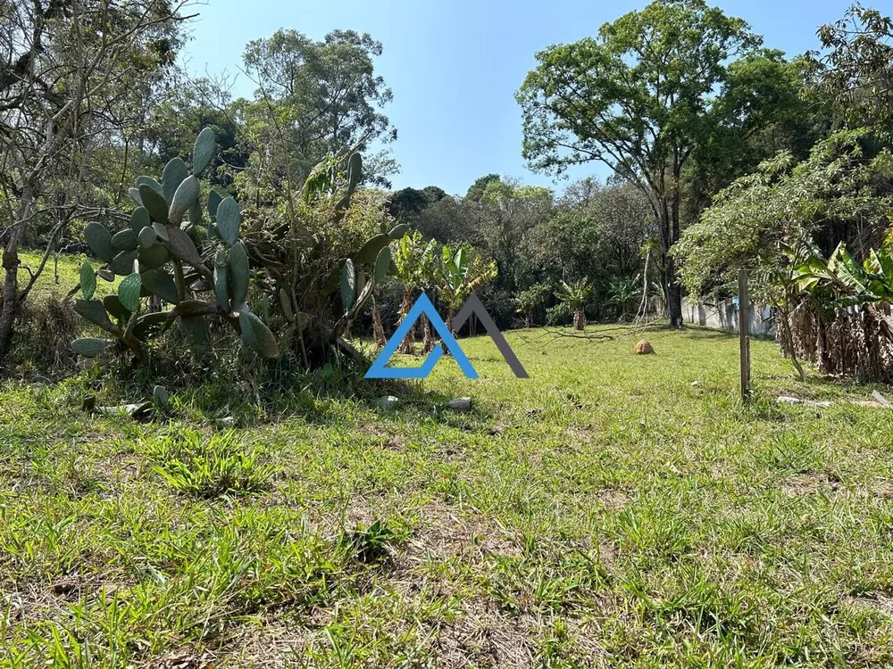 Fazenda para alugar com 3 quartos, 12700m² - Foto 19