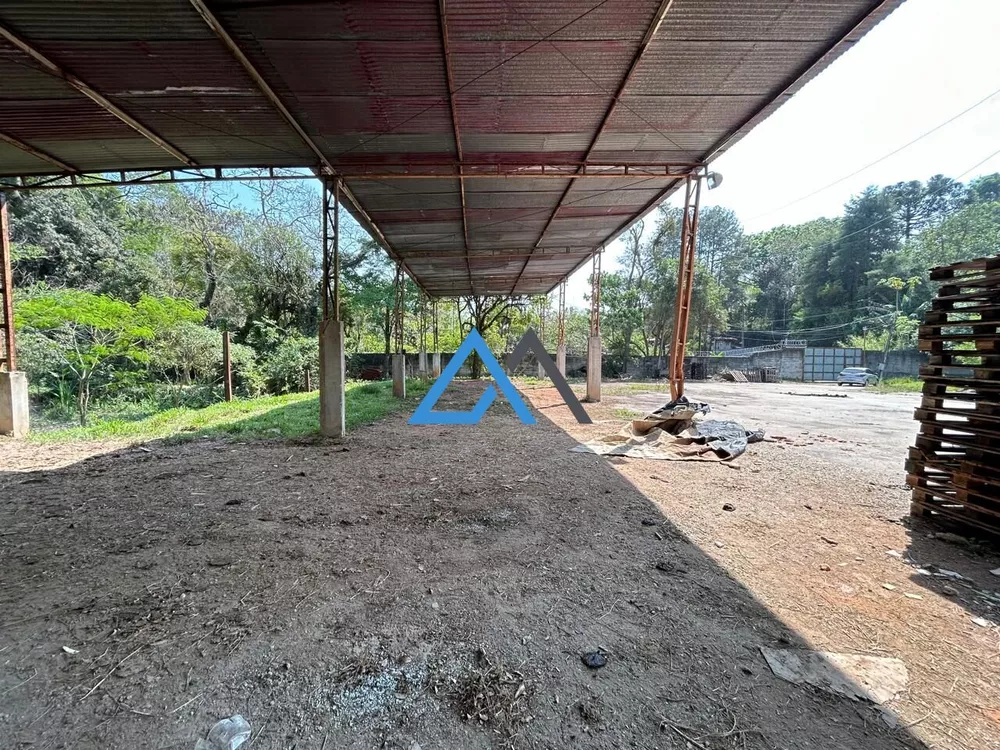 Fazenda para alugar com 3 quartos, 12700m² - Foto 12