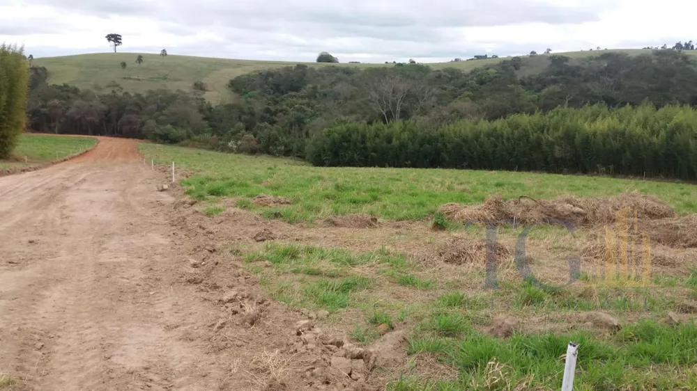 Sítio, 9 quartos, 21 hectares - Foto 15