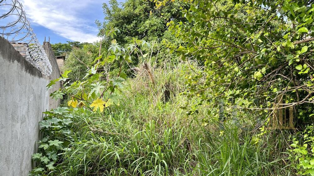 Terreno à venda, 300m² - Foto 4