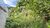 Terreno, 300 m² - Foto 4