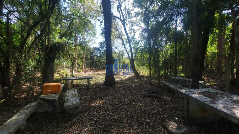 Chácara, 3 quartos, 4800 m² - Foto 16